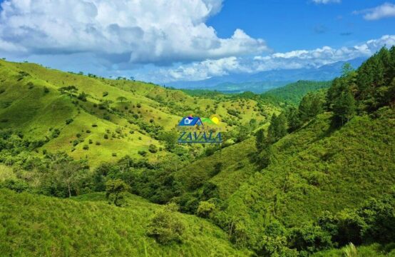 176 Manzanas en Bacadilla, Catacamas, Olancho