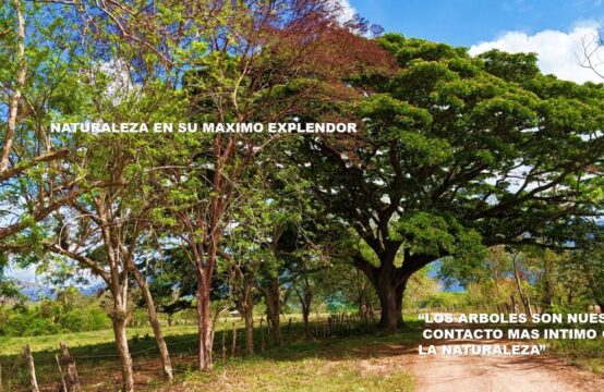 propiedad de 20.65 manzanas de tierra, en el limón Jutiquile, a 6 km de la carretera pavimentada
