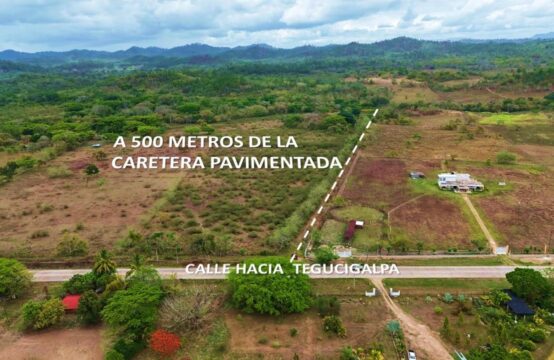 Propiedad de 161.5 manzanas de tierra, en las Minas, Lepaguare
